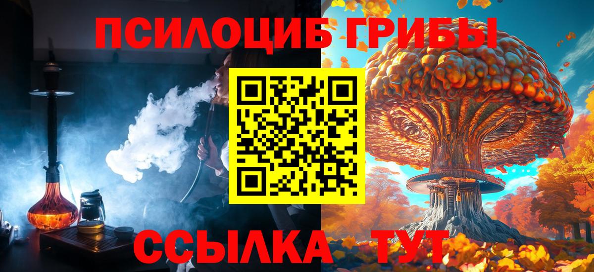 Псилоцибиновые грибы Psilocybine cubensis Белогорск