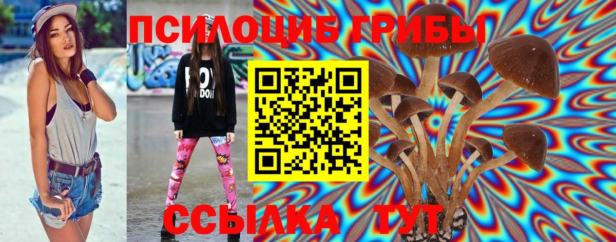 купить наркоту  Галлюциногенные грибы Psilocybe  Вход с VPN  Белогорск 